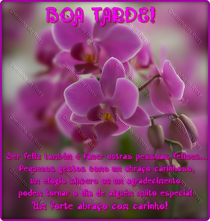 Boa Tarde / Flores  Cantinho da Rosy